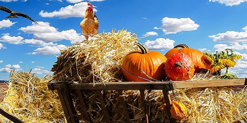 Bauernhöfe, Hofläden und Naturkost aus D-A-CH und Südtirol
